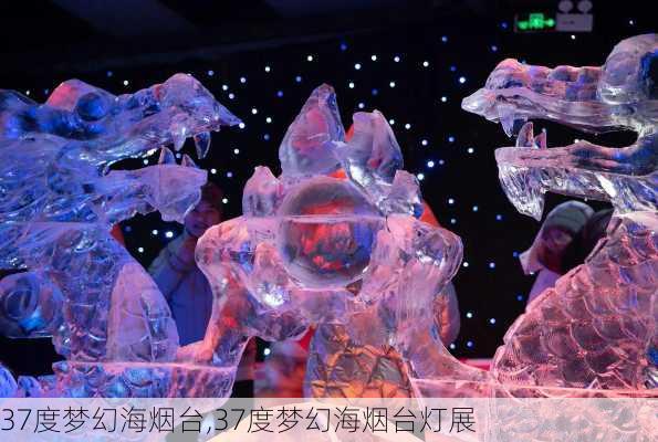 37度梦幻海烟台,37度梦幻海烟台灯展