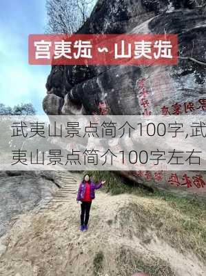 武夷山景点简介100字,武夷山景点简介100字左右