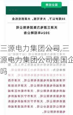 三源电力集团公司,三源电力集团公司是国企吗