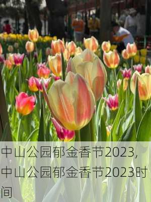 中山公园郁金香节2023,中山公园郁金香节2023时间