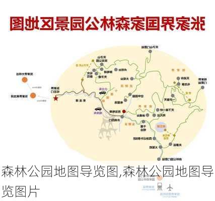 森林公园地图导览图,森林公园地图导览图片