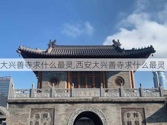 大兴善寺求什么最灵,西安大兴善寺求什么最灵