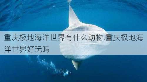 重庆极地海洋世界有什么动物,重庆极地海洋世界好玩吗