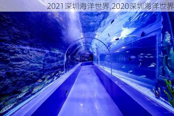 2021深圳海洋世界,2020深圳海洋世界