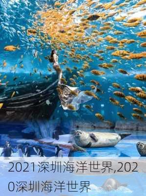 2021深圳海洋世界,2020深圳海洋世界