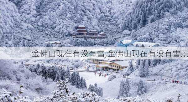 金佛山现在有没有雪,金佛山现在有没有雪景