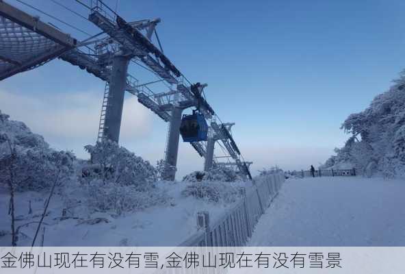 金佛山现在有没有雪,金佛山现在有没有雪景