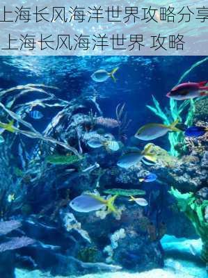 上海长风海洋世界攻略分享,上海长风海洋世界 攻略