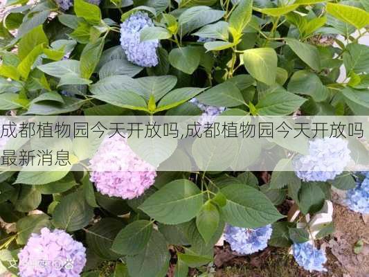 成都植物园今天开放吗,成都植物园今天开放吗最新消息