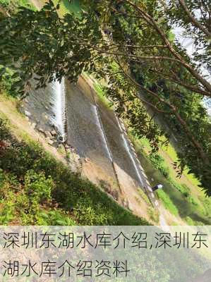 深圳东湖水库介绍,深圳东湖水库介绍资料