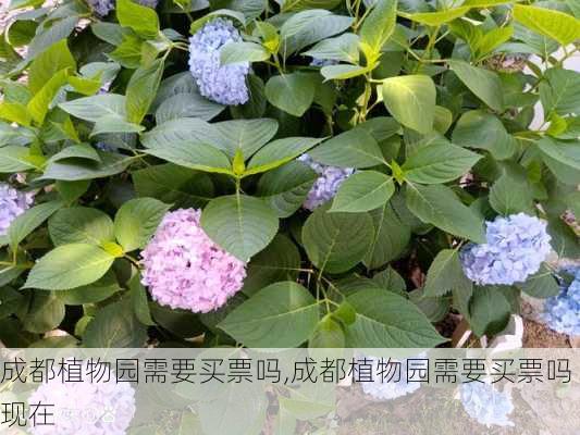 成都植物园需要买票吗,成都植物园需要买票吗现在