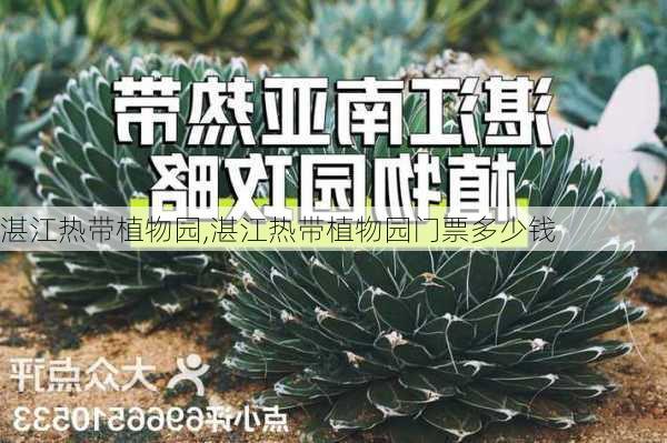 湛江热带植物园,湛江热带植物园门票多少钱