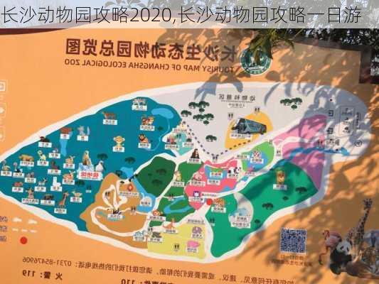 长沙动物园攻略2020,长沙动物园攻略一日游