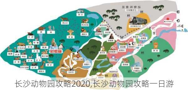 长沙动物园攻略2020,长沙动物园攻略一日游