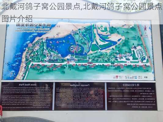 北戴河鸽子窝公园景点,北戴河鸽子窝公园景点图片介绍