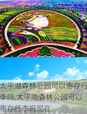 太平湖森林公园可以寄存行李吗,太平湖森林公园可以寄存行李吗现在