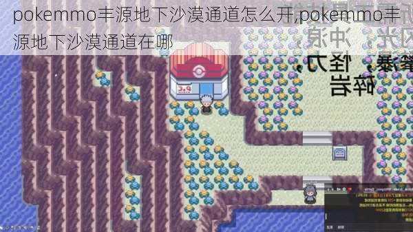 pokemmo丰源地下沙漠通道怎么开,pokemmo丰源地下沙漠通道在哪