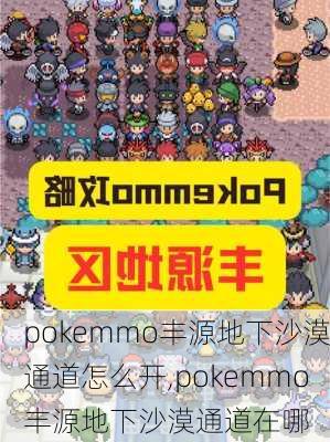 pokemmo丰源地下沙漠通道怎么开,pokemmo丰源地下沙漠通道在哪