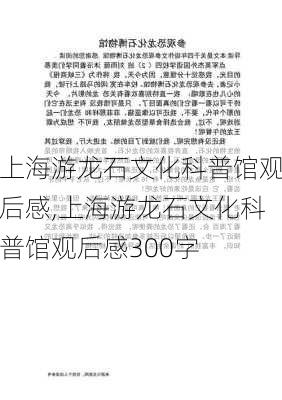 上海游龙石文化科普馆观后感,上海游龙石文化科普馆观后感300字