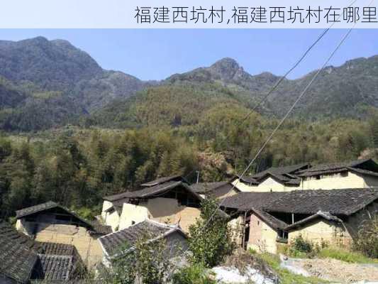 福建西坑村,福建西坑村在哪里