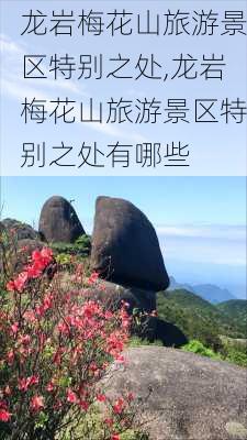 龙岩梅花山旅游景区特别之处,龙岩梅花山旅游景区特别之处有哪些