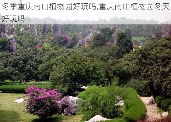 冬季重庆南山植物园好玩吗,重庆南山植物园冬天好玩吗