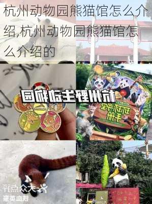 杭州动物园熊猫馆怎么介绍,杭州动物园熊猫馆怎么介绍的