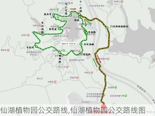 仙湖植物园公交路线,仙湖植物园公交路线图