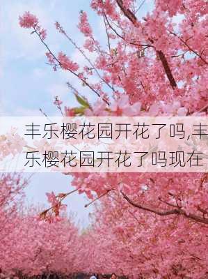 丰乐樱花园开花了吗,丰乐樱花园开花了吗现在