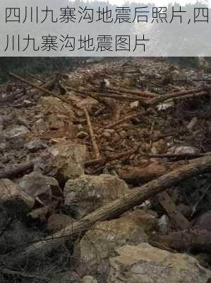 四川九寨沟地震后照片,四川九寨沟地震图片