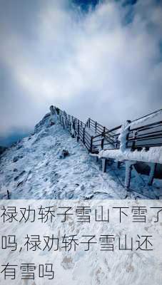 禄劝轿子雪山下雪了吗,禄劝轿子雪山还有雪吗