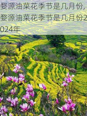 婺源油菜花季节是几月份,婺源油菜花季节是几月份2024年