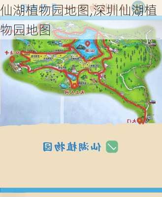 仙湖植物园地图,深圳仙湖植物园地图