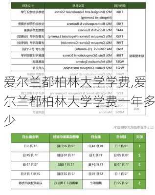 爱尔兰都柏林大学学费,爱尔兰都柏林大学学费一年多少