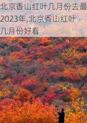 北京香山红叶几月份去最好2023年,北京香山红叶几月份好看