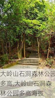 大岭山石洞森林公园多高,大岭山石洞森林公园多高海拔