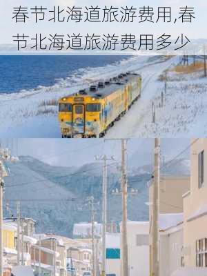 春节北海道旅游费用,春节北海道旅游费用多少