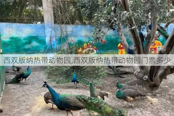 西双版纳热带动物园,西双版纳热带动物园门票多少