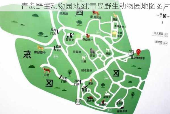 青岛野生动物园地图,青岛野生动物园地图图片