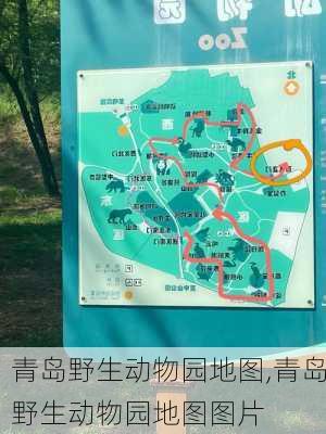 青岛野生动物园地图,青岛野生动物园地图图片