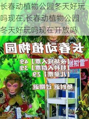 长春动植物公园冬天好玩吗现在,长春动植物公园冬天好玩吗现在开放吗