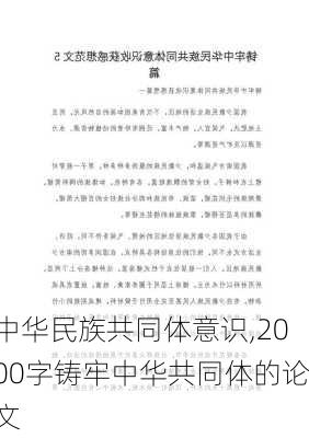 中华民族共同体意识,2000字铸牢中华共同体的论文