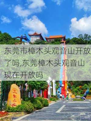 东莞市樟木头观音山开放了吗,东莞樟木头观音山现在开放吗