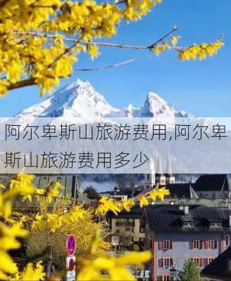 阿尔卑斯山旅游费用,阿尔卑斯山旅游费用多少