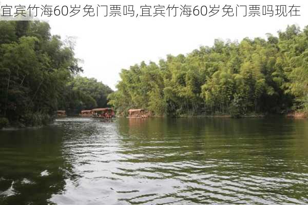 宜宾竹海60岁免门票吗,宜宾竹海60岁免门票吗现在