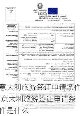 意大利旅游签证申请条件,意大利旅游签证申请条件是什么