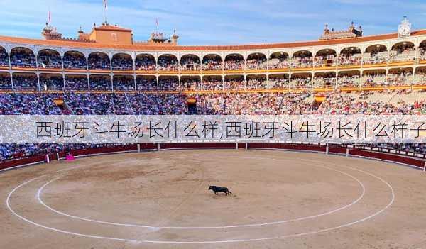 西班牙斗牛场长什么样,西班牙斗牛场长什么样子