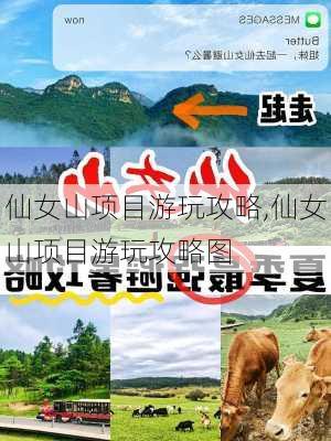 仙女山项目游玩攻略,仙女山项目游玩攻略图