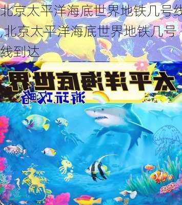 北京太平洋海底世界地铁几号线,北京太平洋海底世界地铁几号线到达