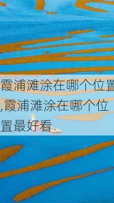 霞浦滩涂在哪个位置,霞浦滩涂在哪个位置最好看